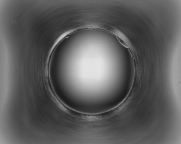 X0000085021436200703121533