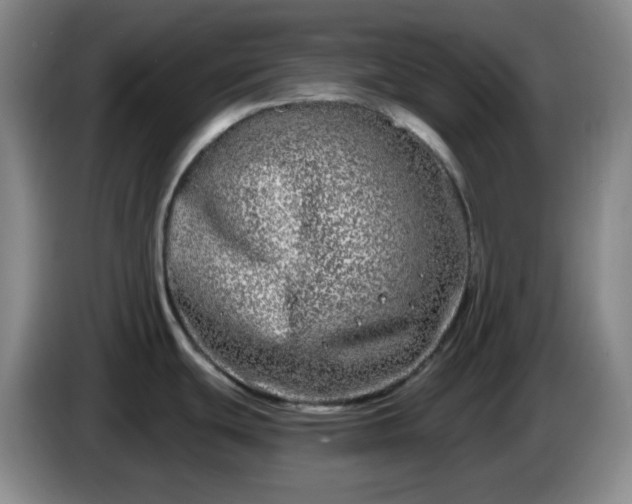 X0000085021439200703121533