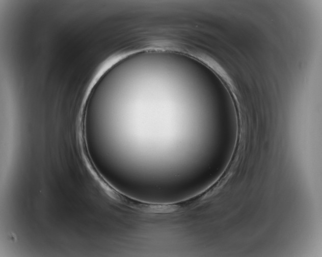 X0000085021440200703121533