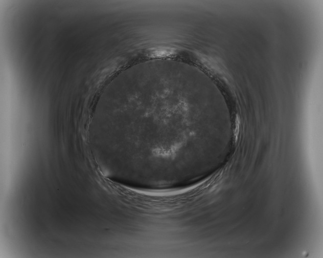 X0000085021441200703121533