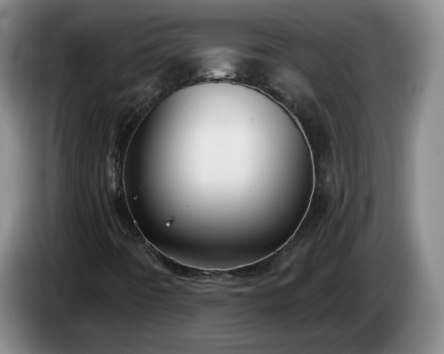 X0000085021442200703121533