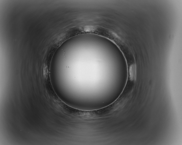 X0000085021443200703121533
