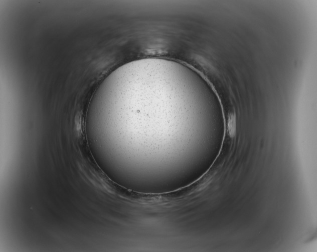 X0000085021444200703121532