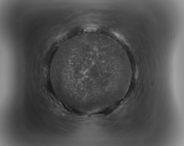 X0000085021445200703121532