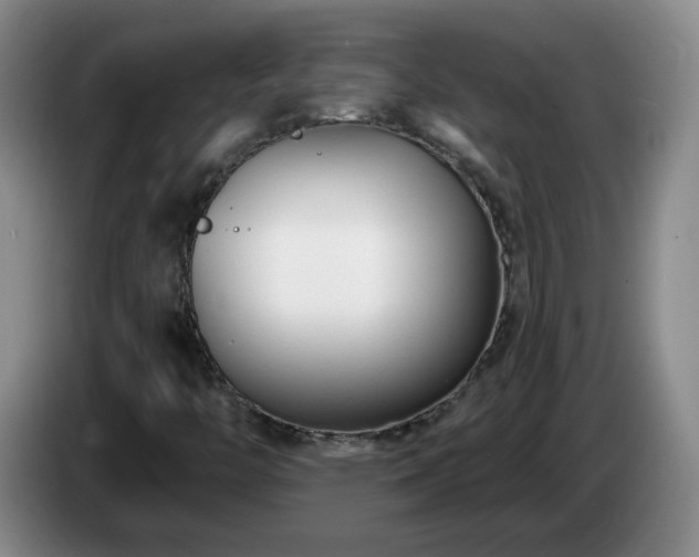 X0000085021446200703121532