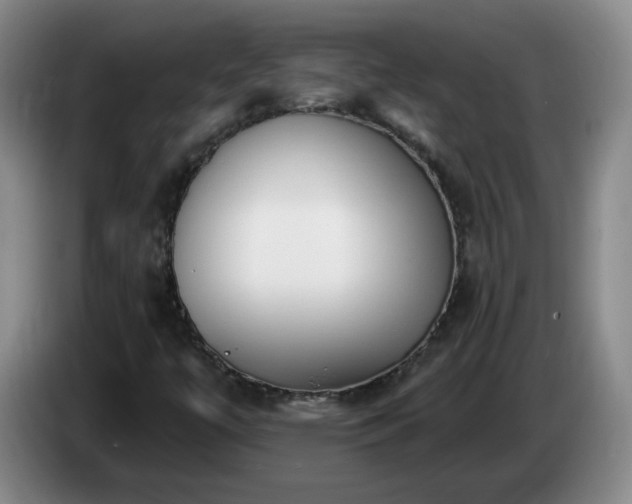 X0000085021447200703121532