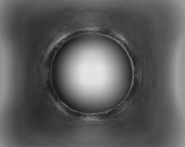 X0000085021448200703121532