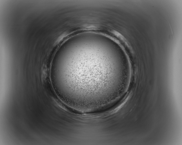 X0000085021449200703121532