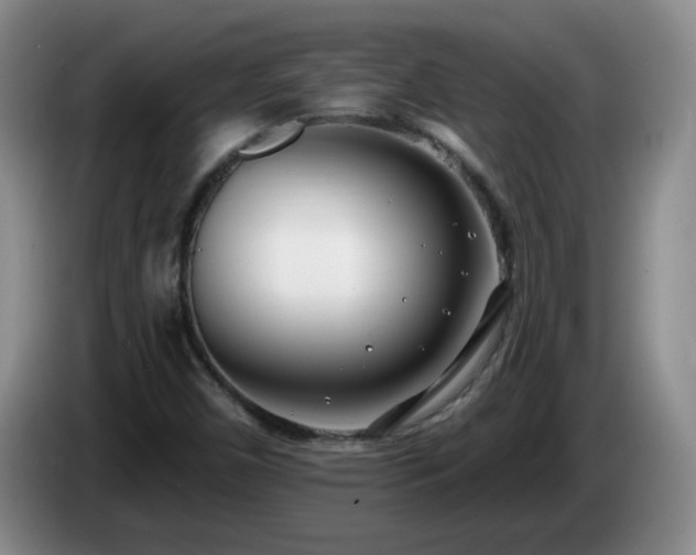 X0000085021450200703121532
