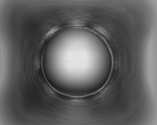 X0000085021451200703121532