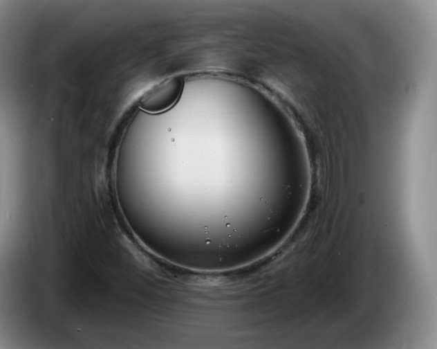 X0000085021452200703121532