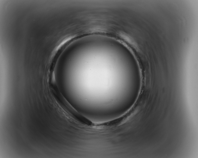 X0000085021453200703121532