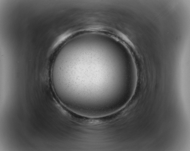 X0000085021456200703121532