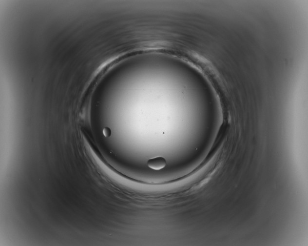 X0000085021457200703121532