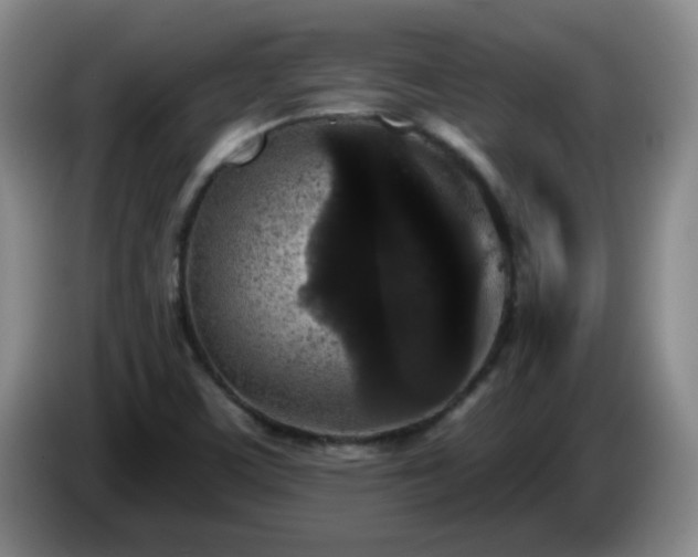 X0000085021459200703121532
