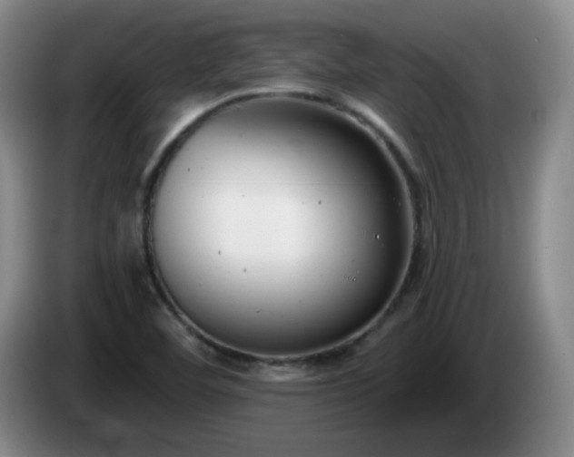 X0000085021460200703121532