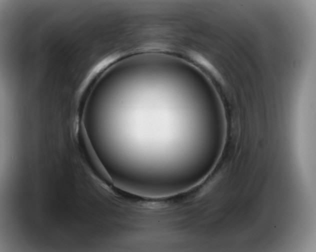X0000085021461200703121532