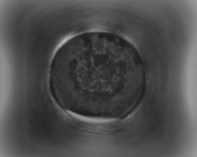 X0000085021463200703121532
