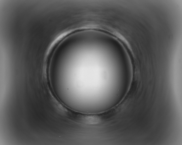 X0000085021464200703121532