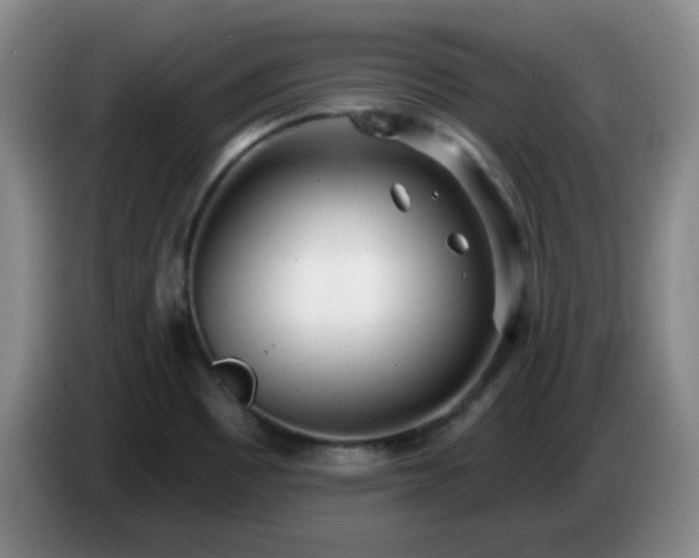 X0000085021465200703121532