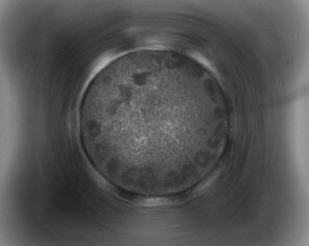 X0000085021467200703121532