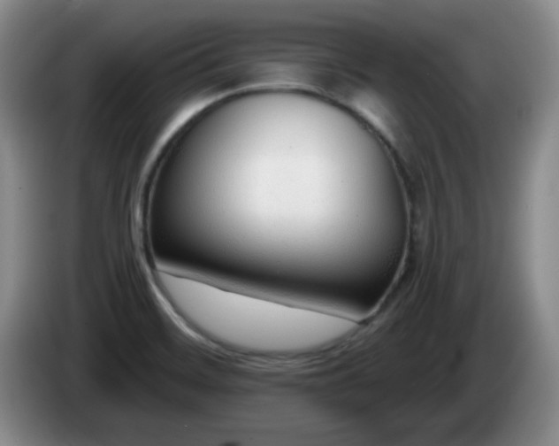 X0000085021468200703121532