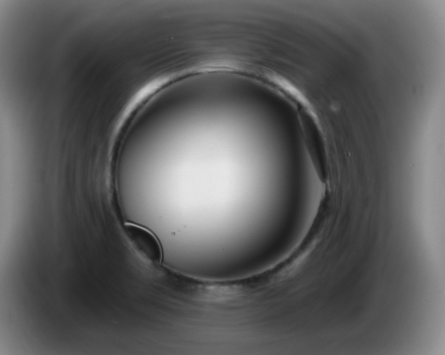 X0000085021469200703121532