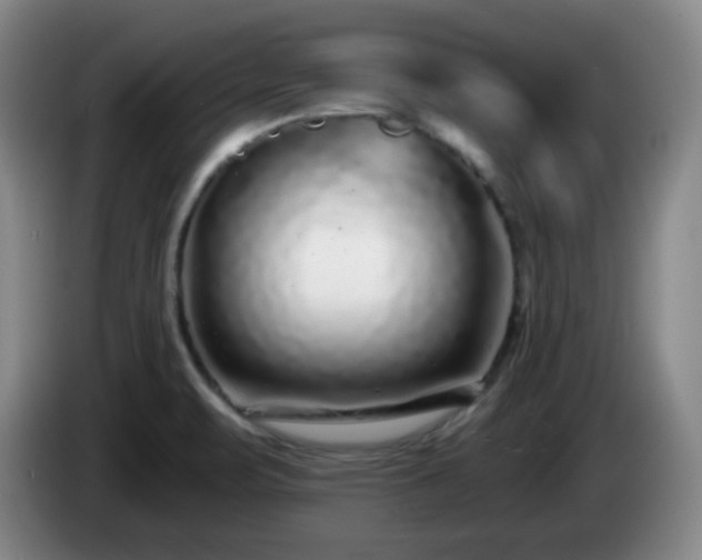 X0000085021471200703121532