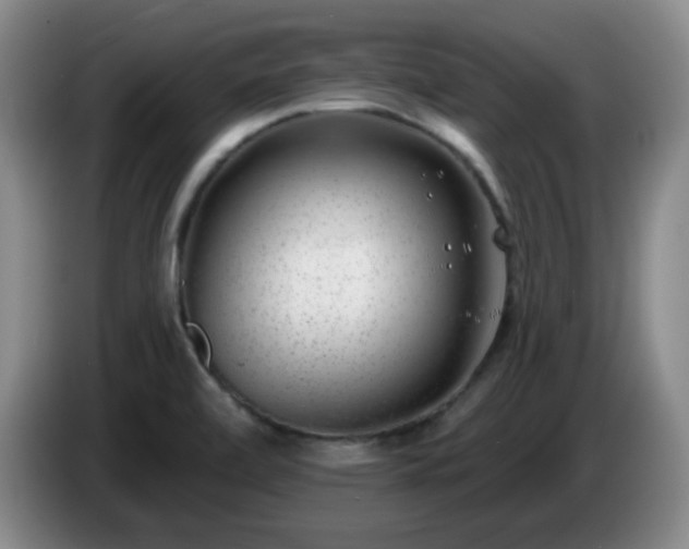 X0000085021472200703121532