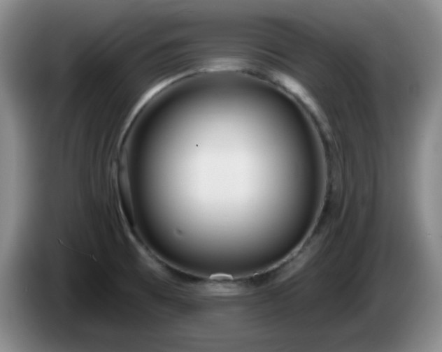 X0000085021473200703121532