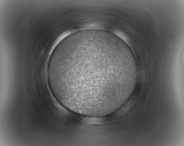 X0000085021474200703121532