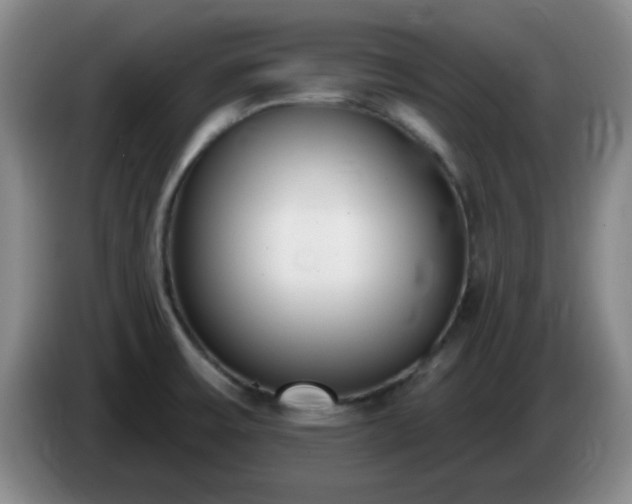 X0000085021475200703121532