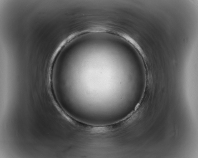 X0000085021477200703121532