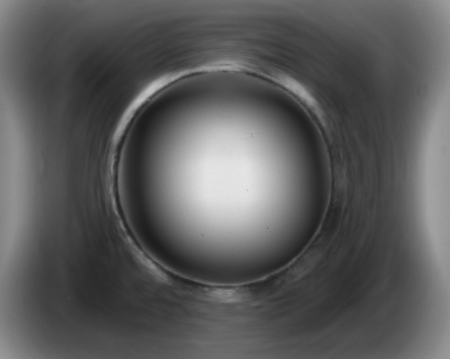 X0000085021480200703121532