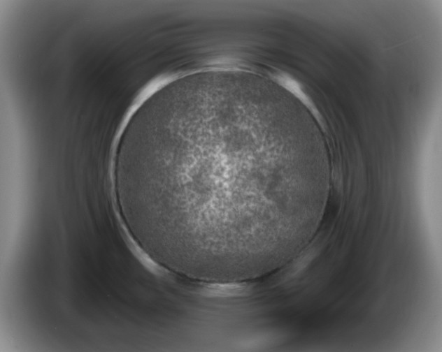 X0000085021482200703121532