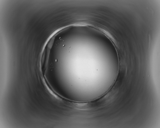 X0000085021484200703121532