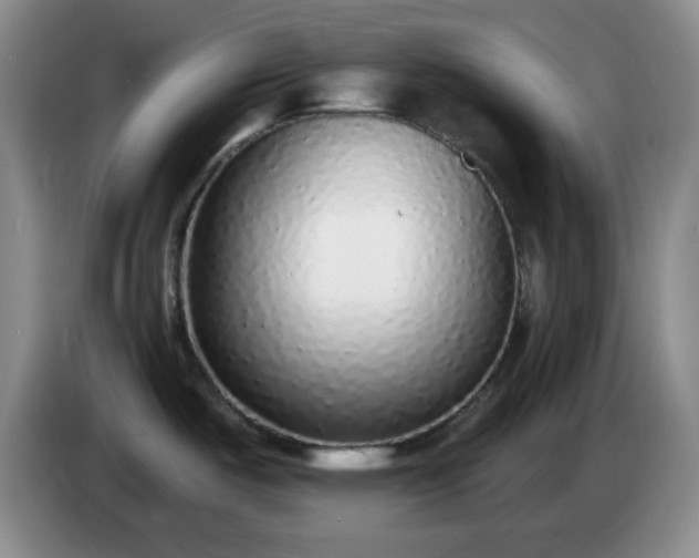 X0000085021487200703121532