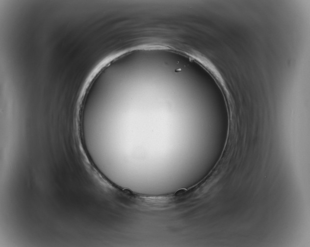X0000085021488200703121532