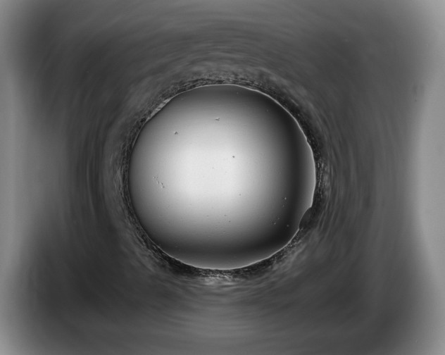 X0000085021489200703121531