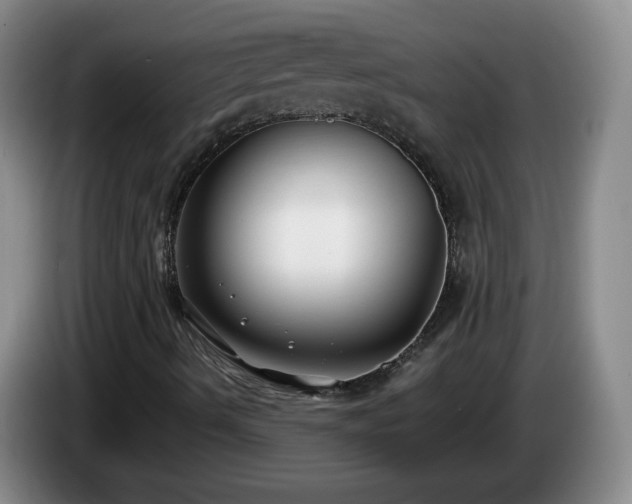 X0000085021490200703121531