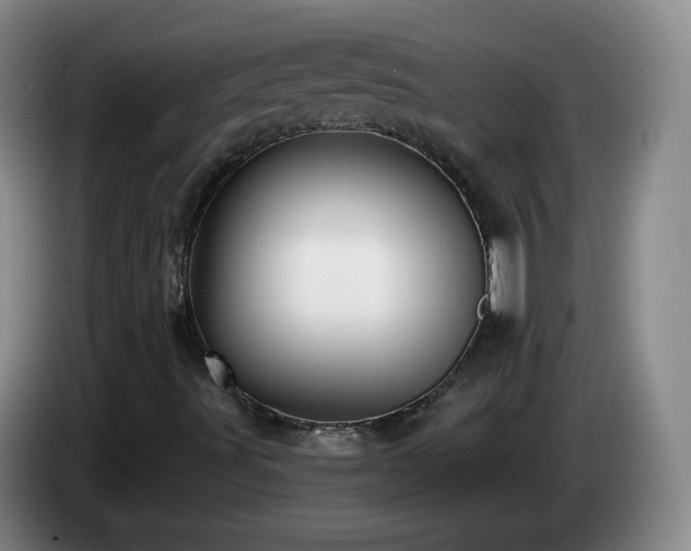 X0000085021491200703121531