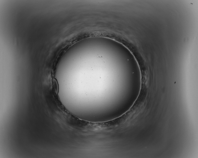X0000085021493200703121531