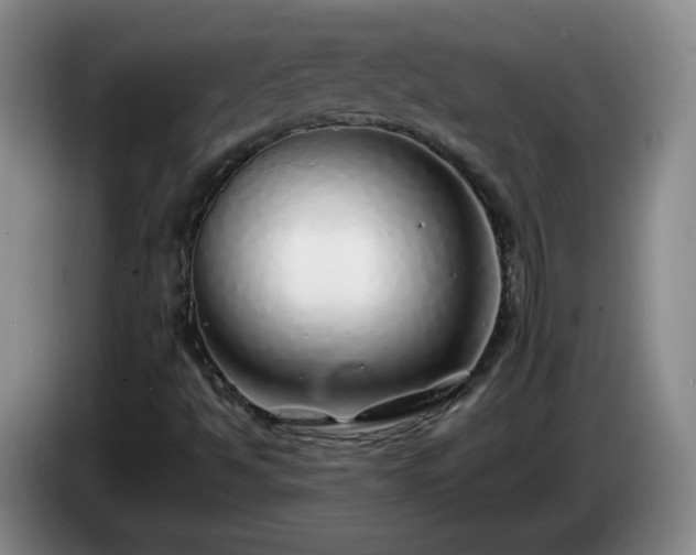 X0000085021494200703121531