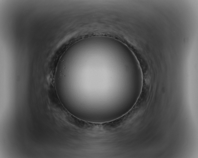 X0000085021495200703121531