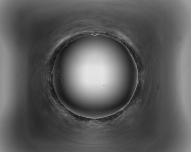 X0000085021496200703121531
