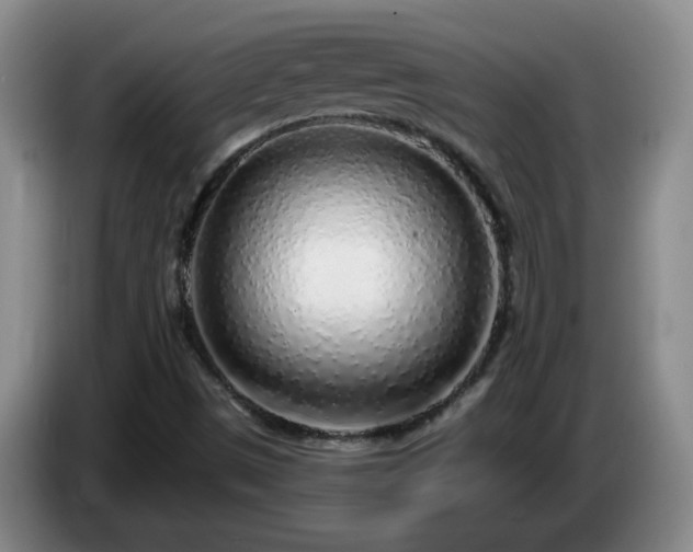 X0000085021497200703121531