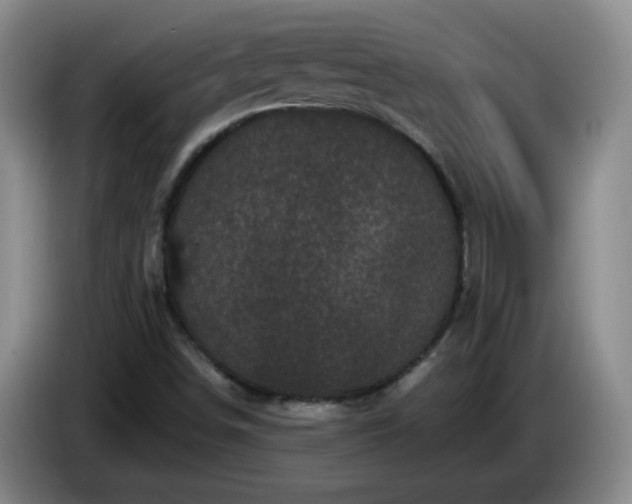 X0000085021498200703121531