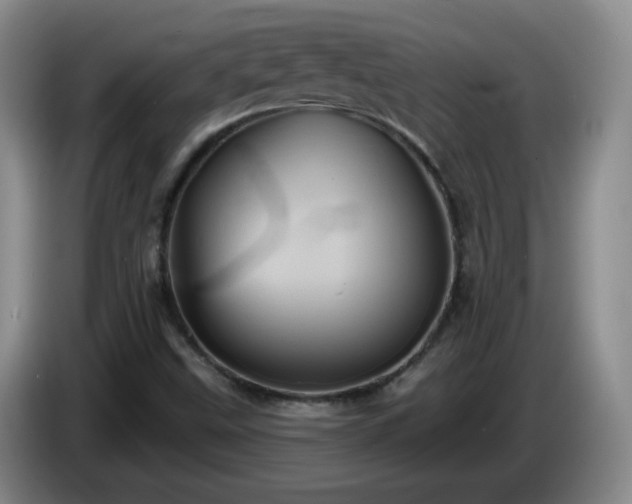 X0000085021499200703121531