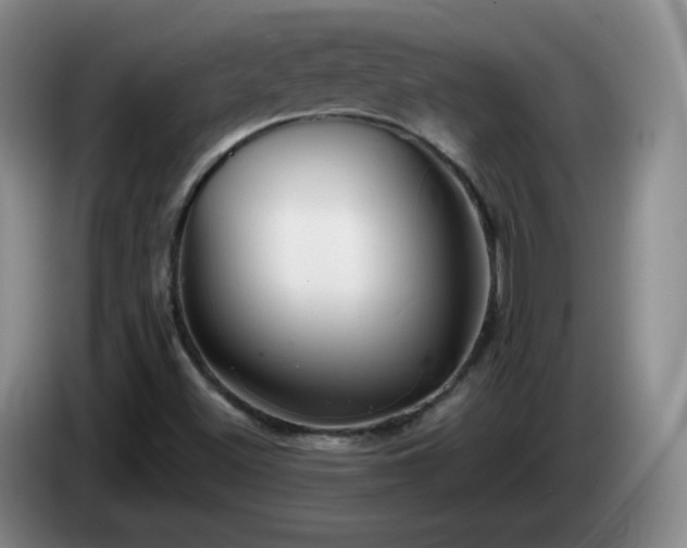 X0000085021500200703121531