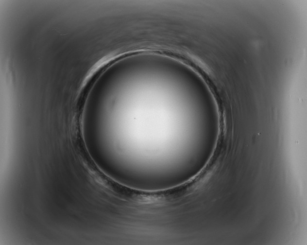 X0000085021501200703121531